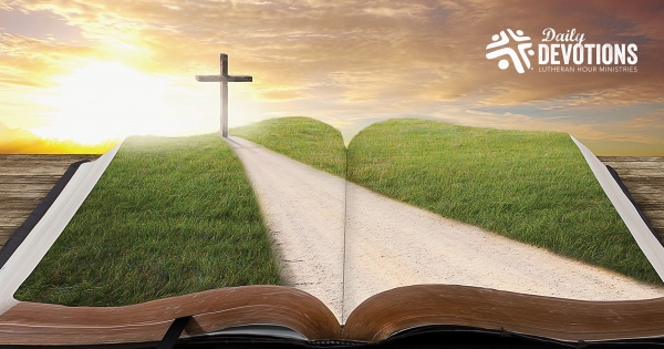 What the Bible Is Like