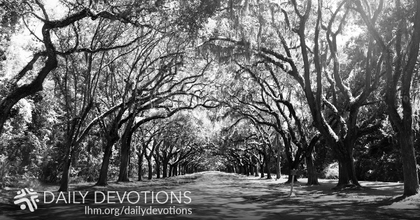 Understanding Our Pain