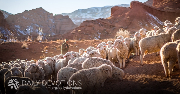 Recognizing Our Shepherd